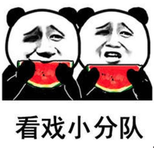 叫你偷瓜让你吃瓜表情包,趣味横生的夏日狂欢