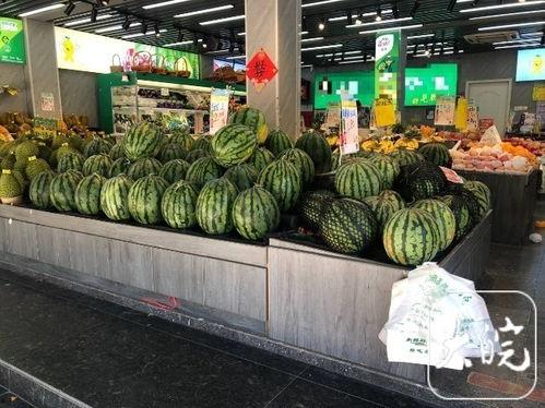 合肥学校吃瓜群,揭秘“吃瓜群”里的校园生活点滴