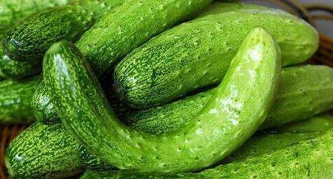 悟净吃瓜,揭秘佛门弟子与人间烟火的故事