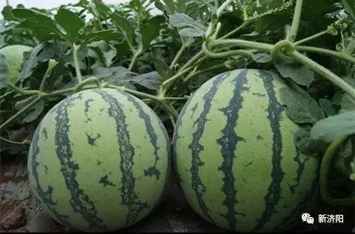 让你吃瓜嗨不停,揭秘娱乐圈那些嗨不停的热辣事件