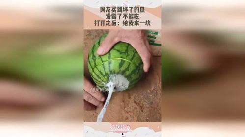 吃发霉瓜,吃出健康隐患的警示