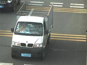 副驾驶吃瓜,揭秘吃瓜背后的故事与真相