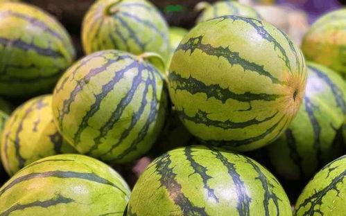 吃瓜咸瓜不甜,揭秘吃瓜咸瓜的奥秘