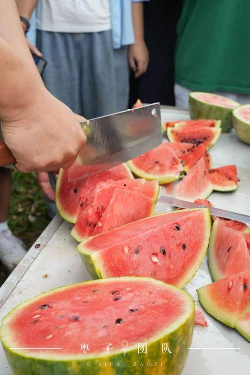休息吃瓜是什么,揭秘网络流行语的趣味与内涵