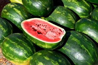 海沧吃瓜,揭秘当地特色美食背后的故事