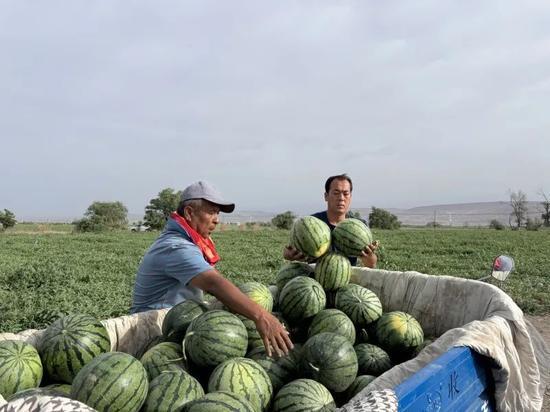 海沧吃瓜,揭秘当地特色美食背后的故事
