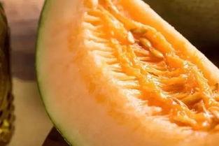 晨跑之前可以吃蜜瓜吗,晨跑前适宜食用蜜瓜吗？