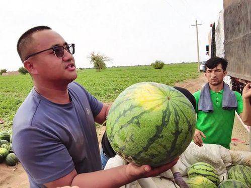薄冰吃瓜后续,揭秘娱乐圈背后的秘密与真相