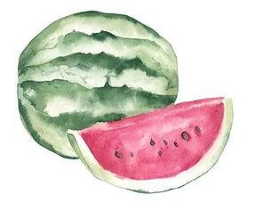 薄冰吃瓜后续,揭秘娱乐圈背后的秘密与真相