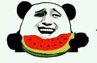 吃瓜2019,年度热辣话题回顾