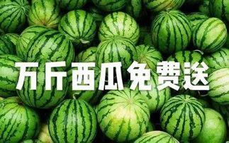 吃瓜2019,年度热辣话题回顾
