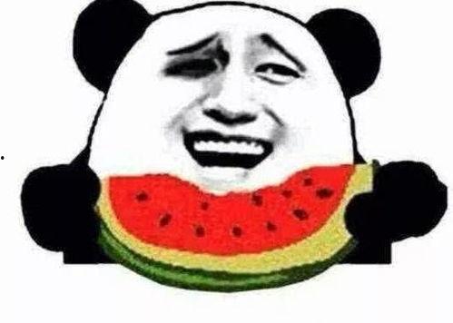 带你吃瓜爪哥吃手机,带你领略吃瓜爪哥的科技盛宴