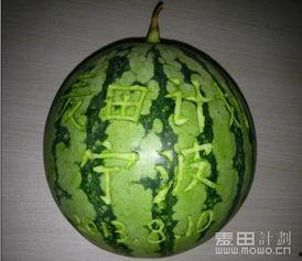 吃瓜上海麦,吃瓜群众的美食盛宴