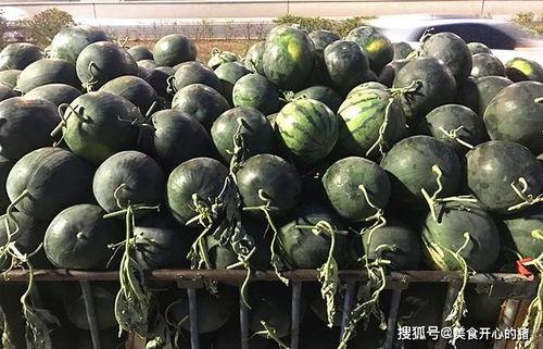 吃瓜上海麦,吃瓜群众的美食盛宴