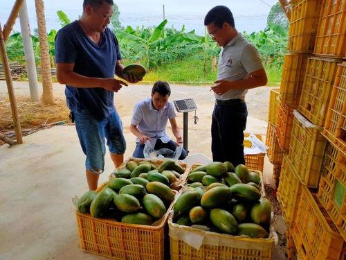 安静围观吃瓜图片,静享人间烟火