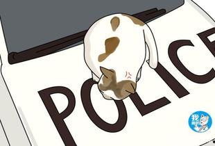 吃瓜群众听歌听歌,盘点热门歌曲背后的故事