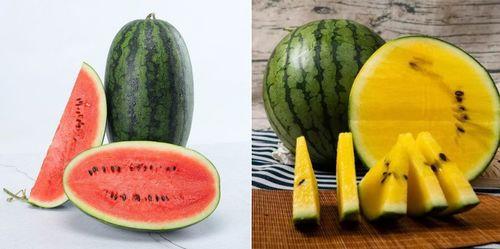 哪些网站可以吃瓜,网络八卦的聚集地