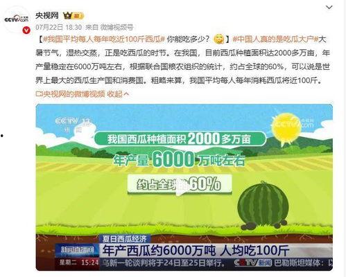 吃瓜用户,吃瓜群众眼中的明星生活