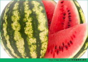 每天吃瓜吃多少,吃瓜达人的一天