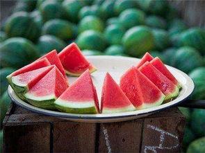 每天吃瓜吃多少,吃瓜达人的一天