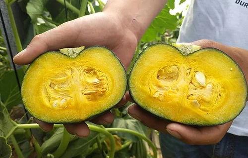 宝宝吃贝贝瓜好吗,宝宝食用贝贝瓜的益处与注意事项