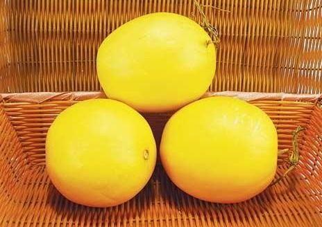 拉稀吃伊丽莎白瓜,天然食疗新选择