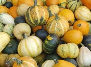 不迟到吃瓜,不缺席，吃瓜群众的新守则