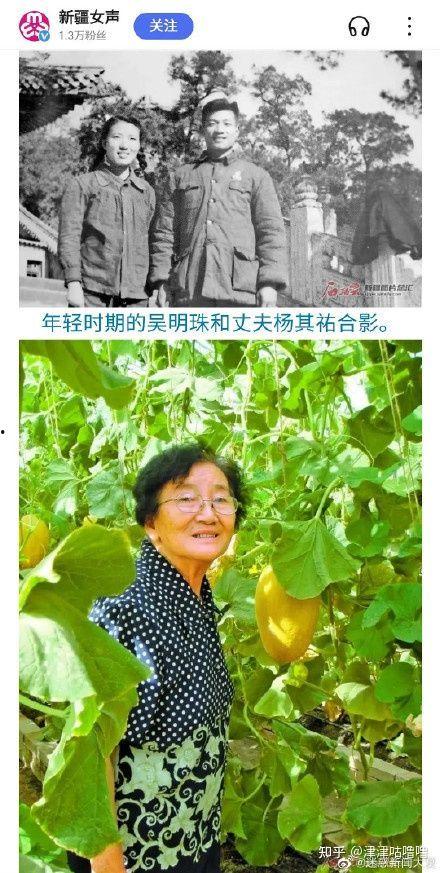 不迟到吃瓜,不缺席，吃瓜群众的新守则