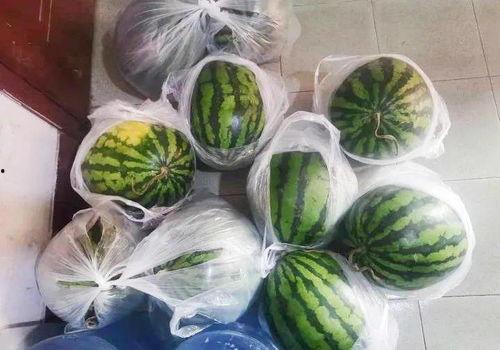 白啄瓜吃胖,探寻瓜果中的健康密码