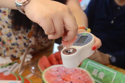 浦东干部吃瓜直播,一场意外的网络互动盛宴