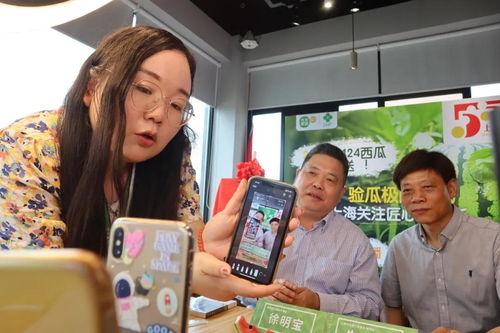 浦东干部吃瓜直播,一场意外的网络互动盛宴