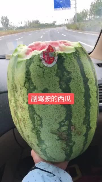 副驾驶吃瓜,揭秘吃瓜背后的故事与真相