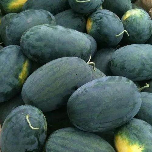 湖北民族大学吃瓜,揭秘校园里的“吃瓜”文化现象