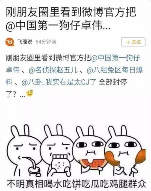 娱乐吃瓜图片图文大全,吃瓜图鉴，一网打尽明星幕后故事