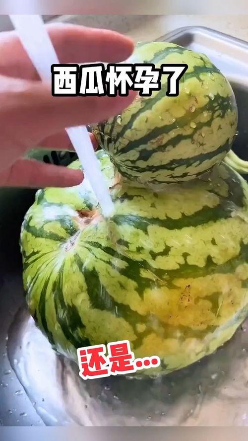 吃瓜搞笑音效,揭秘吃瓜搞笑音效背后的欢乐秘密