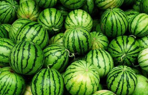 ttg阿四吃瓜,揭秘娱乐圈背后的那些事儿