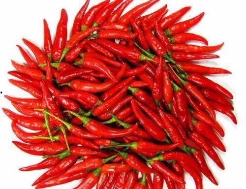 辣子哥吃瓜,揭秘娱乐圈那些不为人知的幕后故事