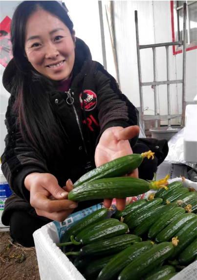 郯城吃瓜事件,一场引发社会热议的食品安全风波