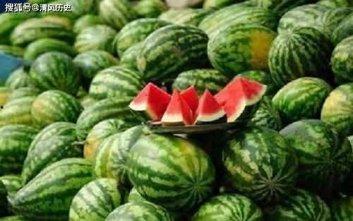 王博士带你吃瓜