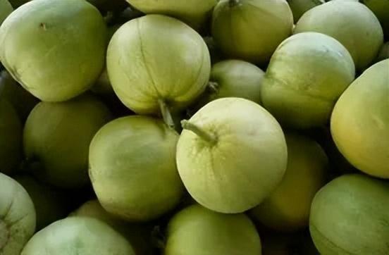 像香瓜的瓜叫什么瓜可以炒着吃,揭秘可炒食的神秘瓜类