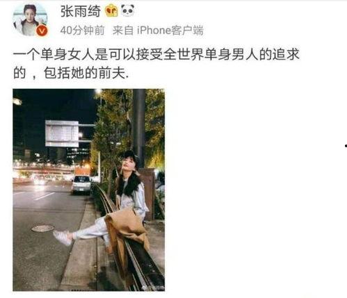 爆姐付费吃瓜,付费吃瓜背后的娱乐圈风云