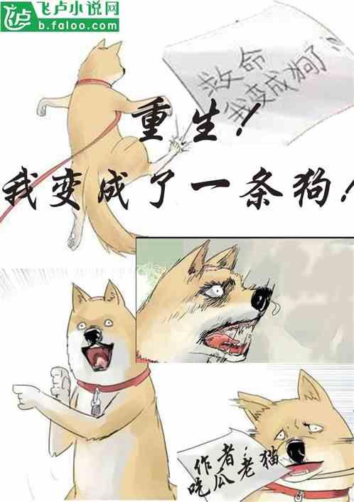 吃瓜创击小说,揭秘娱乐圈背后的风云变幻