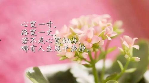 经典吃瓜语录短句图片