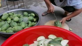 今天吃瓜吃的有点撑,肚子撑得圆滚滚