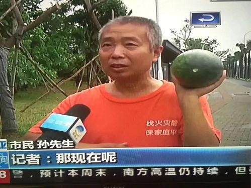 南康吃瓜群众事件,网络舆论的风暴与反思