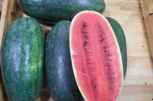 吃瓜黑了,网络热词背后的故事与影响