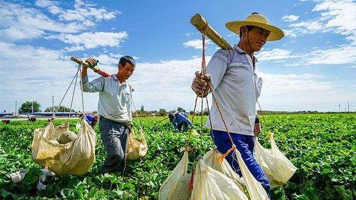 吃瓜的清洁工,揭秘日常生活中的小确幸