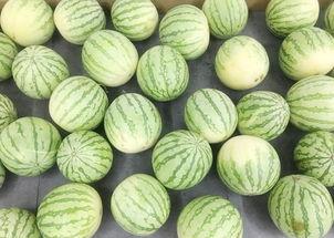 战斗吃瓜,吃瓜群众见证历史瞬间