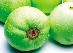 吃瓜的柿子,探寻吃瓜时代的甜蜜诱惑