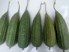 感谢老板吃瓜,我们一起来吃